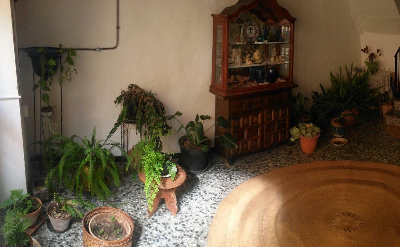 Apartament Rural Vilaplana Exteriér fotografie